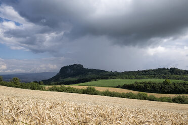 Deutschland, Baden-Württemberg, Landkreis Konstanz, Hegau, Hohentwiel, Gerstenfeld und Gewitterwolken - ELF001241