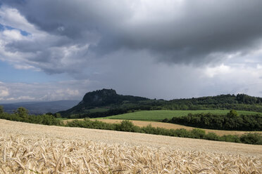 Germany, Baden-Wuerttemberg, Constance district, Hegau, Hohentwiel, Barley field and thunderclouds - ELF001241