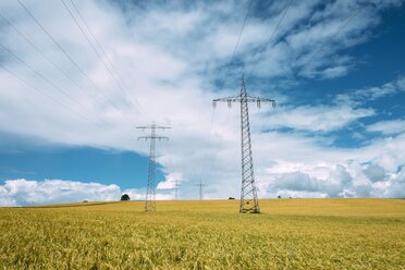 Germany, Baden-Wuerttemberg, Constance district, Barley field and power pylons - ELF001243