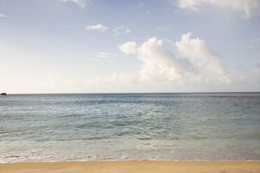 Caribbean, Antilles, Lesser Antilles, Barbados, west coast, beach - SK001576