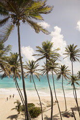 Caribbean, Antilles, Lesser Antilles, Barbados, Bottom Bay, beach - SK001583