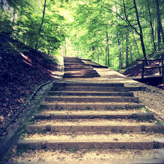 Forest path with steps, Landshut, Bavaria, Germany - SARF000746