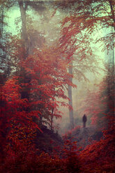 Germany, Dark silhouette of a person in autumn forest, Textured effect - DWI000135