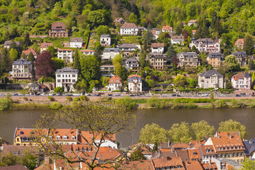 Deutschland, Baden-Württemberg, Heidelberg, Blick auf exklusive Wohngegend am Neckar - WDF002563