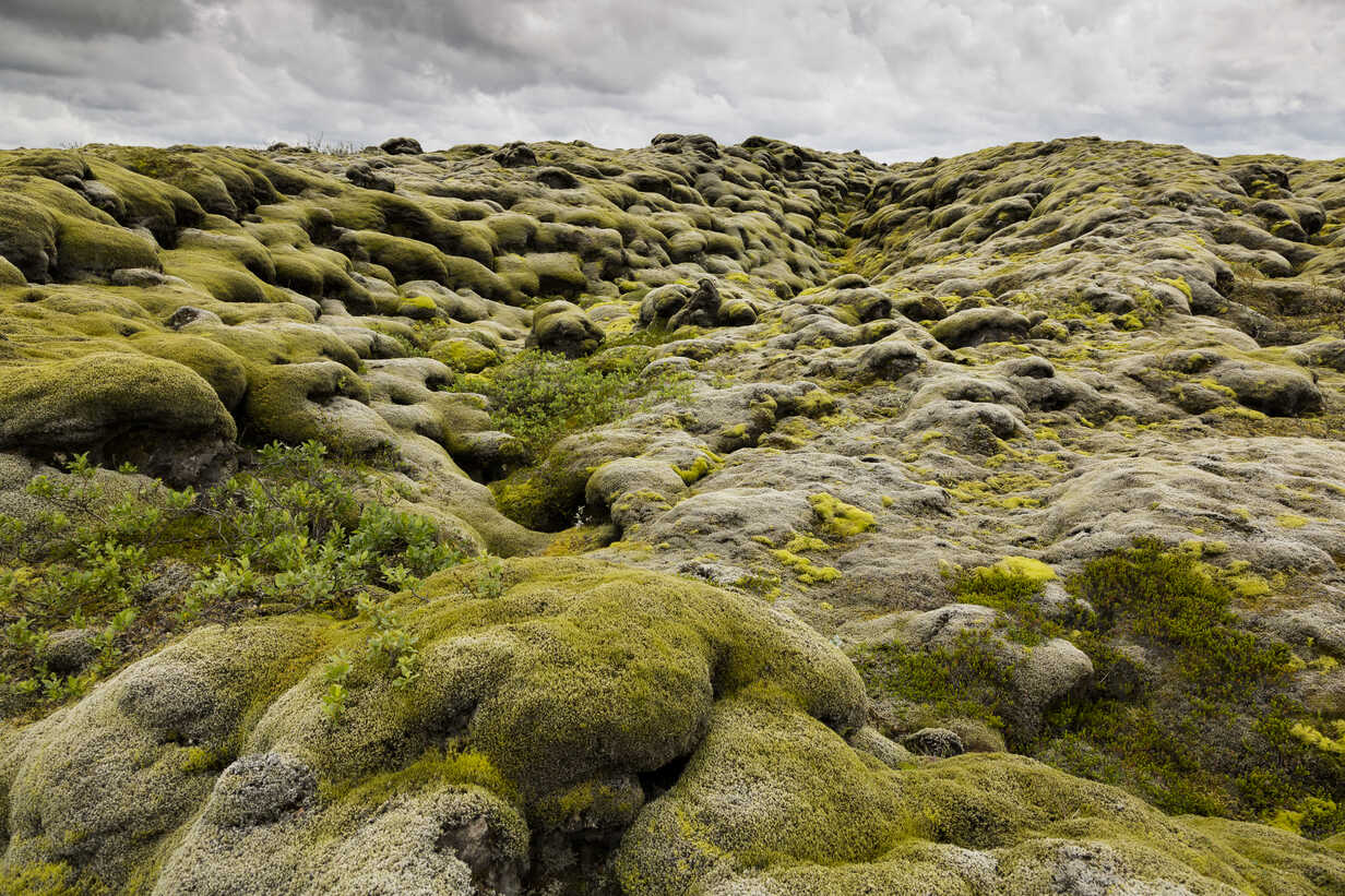 Iceland, Skaftareldahraun, Lava field stock photo