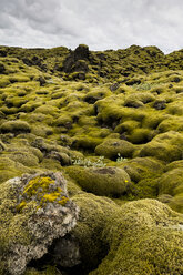 Iceland, Skaftareldahraun, Lava field - FCF000285