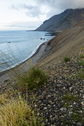 Island, Ostfjorde, Strand - FCF000296