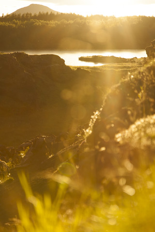 Iceland, Skutustadir, Krafla-volcanic area, Myvatn lake against the sun stock photo
