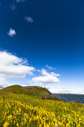 Iceland, Skutustadir, Krafla-volcanic area, Myvatn, pseudocrater - FCF000306