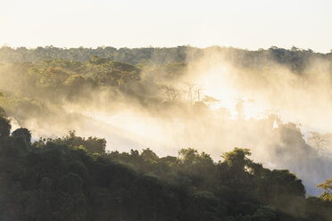 Südamerika, Brasilien, Parana, Iguazu-Nationalpark, Iguazu-Fälle, Wald und Wasserdampf - FO006656