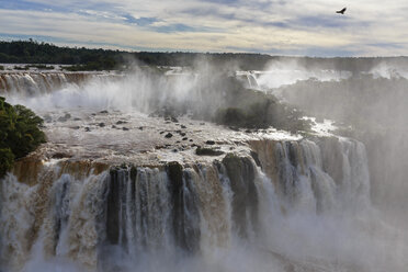 Südamerika, Brasilien, Parana, Iguazu-Nationalpark, Iguazu-Fälle - FOF006705