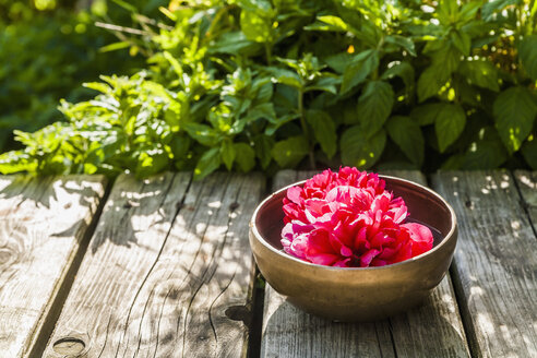 Bowl with blossom on wooden terrace - TCF004164