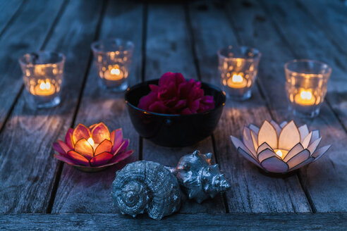 Decorative candles and seashells - TCF004187