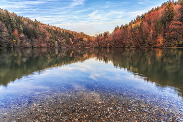 Austria, Carinthia, river Drau near Edling power plant - DAWF000106