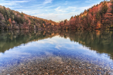 Österreich, Kärnten, Drau in der Nähe des Kraftwerks Edling - DAWF000106