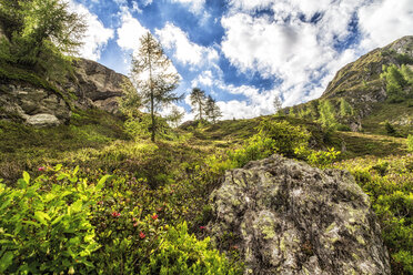 Österreich, Kärnten, Fragant, Berglandschaft - DAWF000099