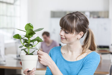 Porträt einer jungen Frau mit Topfpflanze in einem kreativen Büro - RBF001731