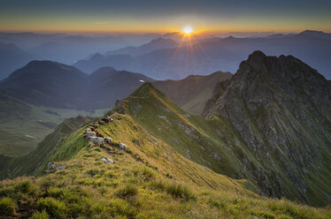 Österreich, Tirol, Bezirk Schwaz, Blick vom Kellerjoch bei Sonnenaufgang gegen die Morgensonne, Schafe - MKFF000049