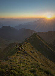 Österreich, Tirol, Bezirk Schwaz, Blick vom Kellerjoch bei Sonnenaufgang gegen die Morgensonne, Schafe - MKFF000054