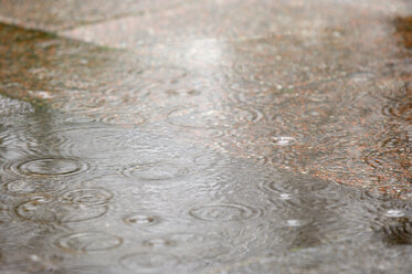 Raindrops falling in a puddle - RUEF001252