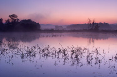 Deutschland, kleiner See bei Sonnenaufgang - RUEF001292