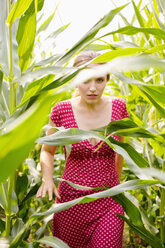 Junge Frau geht durch ein Maisfeld - SEF000818