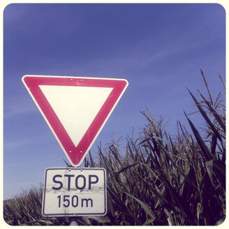 Vorfahrtszeichen am Maisfeld - SHIF000026