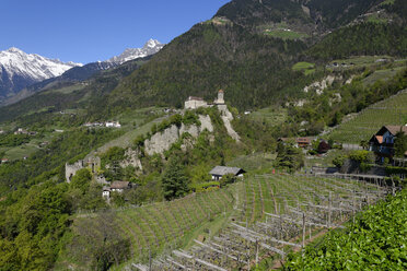 Italien, Südtirol, Schloss Tirol bei Meran - LB000901