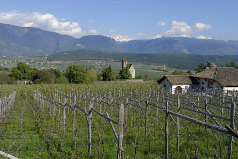 Italien, Südtirol, Südtiroler Unterland, Eppan, Weinberge am Schloss Englar, mit Schlosskirche St. Sebastian - LB000925