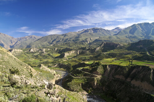 Südamerika, Peru, Blick auf den Colca Canyon - KRPF000657