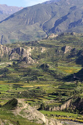 Südamerika, Peru, Blick auf den Colca Canyon - KRPF000661