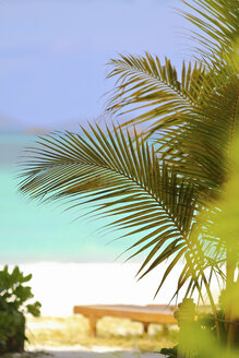 Seychelles, Anse Volbert, Sunlounger at the beach, Island of Praslin - KRPF000725