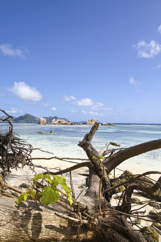 Seychellen, Insel La Digue, Strand, lizenzfreies Stockfoto