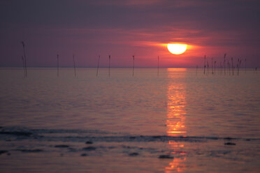 Germany, Lower Saxony, Dorum, Sunset at the wadden sea - OLE000025