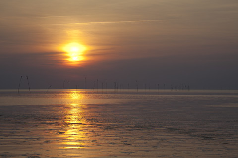 Deutschland, Niedersachsen, Dorum, Sonnenuntergang am Wattenmeer, lizenzfreies Stockfoto