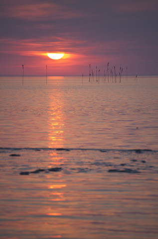 Germany, Lower Saxony, Dorum, Sunset at the wadden sea stock photo