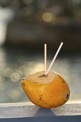 Coconut with straws - KRPF000777