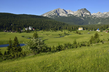 Montenegro, Crna Gora, Durmitor-Nationalpark, Otoka-Flusstal in Zabljak - ES001323