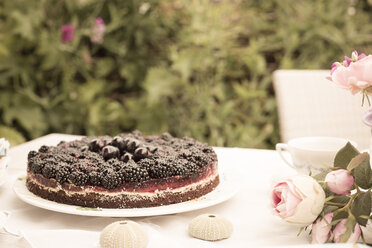 Chocolate berry cake on a garden table - FCF000400