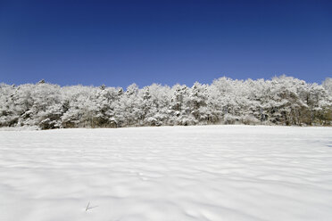 Deutschland, Schwarzwald, schneebedeckte Landschaft - KRPF000797