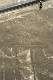 Peru, Ica, Nasca Lines, view of the tree, aerial view - KRP000908