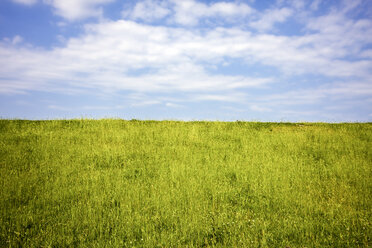 Deutschland, Blick auf den Himmel über dem Feld - KRPF000932