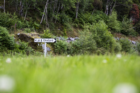 Norwegen, Eikefjord, Schild am Wald, lizenzfreies Stockfoto