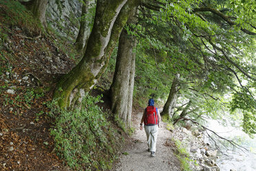 Austria, Salzkammergut, Salzburg State, Sankt Gilgen, Brunnwinkl, Female hiker at Lake Wolfgangsee - SIEF005772