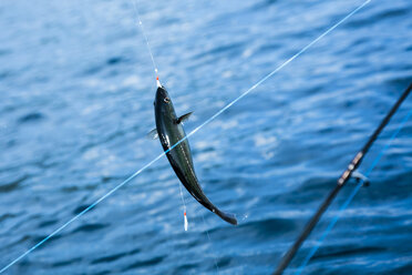 Fishing rods on a tuna fishing boat — Stock Photo © MarcoGovel