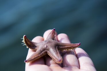 Norway, starfish in hand - NG000195