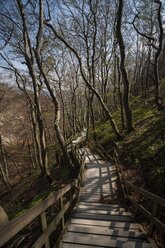 Dänemark, Insel Mon, Mons Klint, Holzpfad zu den Kreidefelsen - PAF000756