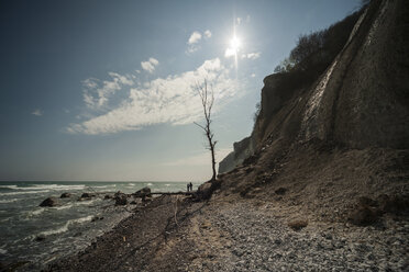 Denmark, Mon Island, Mons Klint Chalk cliffs - PAF000765