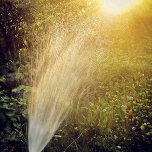 Gartenschlauch spritzendes Wasser - SARF000762