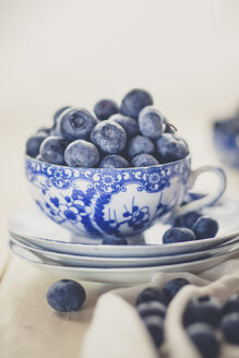 Blaubeeren in und um die Teetasse - SBDF001183